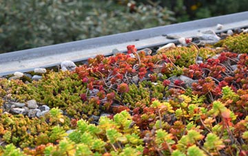 the cost of Manfield green roof installation