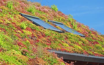 Manfield living roof systems