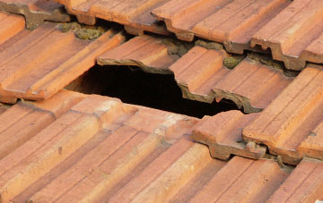 roof repair Manfield, North Yorkshire