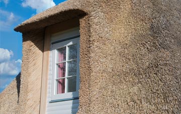 Manfield thatch roof disadvantages