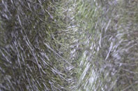 Manfield fibreglass roof work